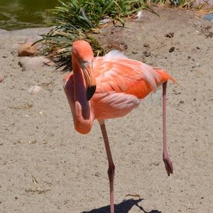 Meet your Posher, Bryan